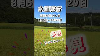 8月水曜日逆行期間の過ごし方🌞🌻🙌水星逆行ってどんなイメージですか⁉️😆✨