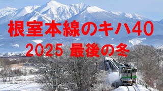 【４Ｋ 60fps】根室本線のキハ40　2025最後の冬