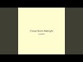 Forest Storm Midnight