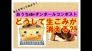 4分でわかる！ダンボールコンポストのしくみ。どうして生ごみが消えるのか？ダンボールコンポストの魅力は？