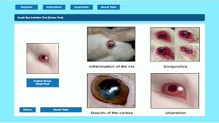 Acute Eye Irritation Test | Draize Test By Ex-Pharm Software | हिंदी में | Insilico Experiments