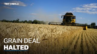 Ukraine grain deal halted by Russia