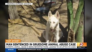 Arizona man sentenced in gruesome animal abuse case