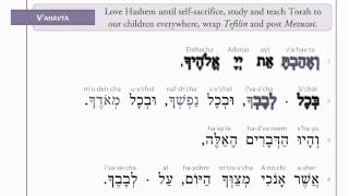 Siddur Sheli - My Siddur: The Shema in Song; Our affirmation in our faith in the ONE G-d - Animated!