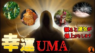 #73.UMA未確認生物図鑑(ケサランパサラン・カーバンクル・ナリーポン・太歳)