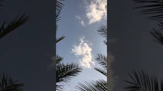 صباح الاجواء الجميله🤩🍃