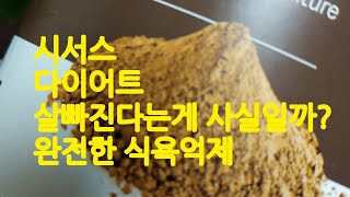 실검1위다이어트/시서스효과/완전한식욕억제/지방분해/시서스다이어트 사실일까?12주 리얼후기