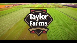 Taylor Farms  Tender Leaf Products