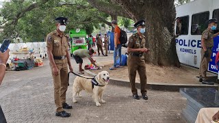 Unloading Dogs of Sri Lanka Police Kennel Division Kandy - පෙරහැරට ආව පොලිස් බව්වො