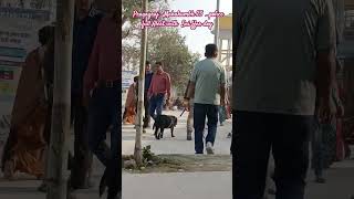 Snifferdog.Prayagraj _Mahakumbh 25  _police full Alert with  Sni ffer dog