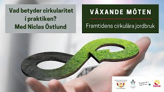 Vad betyder cirkularitet i praktiken?