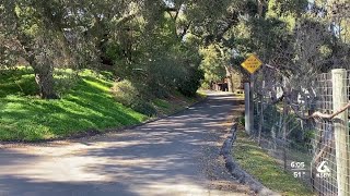 Recent mountain lion sightings cause concern in Atascadero neighborhood