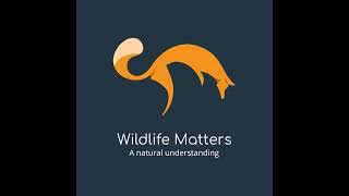 An Introduction to Wildlife Matters Podcast - From Passion to Action