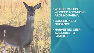 Parma Police Department begins deer culling program