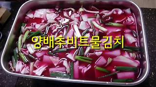 양배추비트물김치황금레시피 (민경요리)