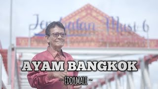 AYAM BANGKOK - EDDY MALE (New Song) Cipt : Eddy Male ( LAGU SUMATERA SELATAN , PALEMBANG)