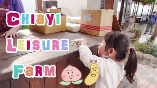 Go To Chiayi Leisure Farm 嘉義獨角仙休閒農場一日旅遊,餵餵小動物! (上集) 動物篇