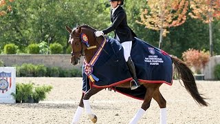 !!SOLD in 3 weeks !!! 7 Yr 14.2h 2016 FEI Pony Finals Champion! Wellington, FL