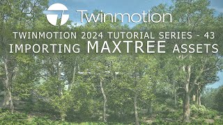 TWINMOTION 2024.1.1 TUTORIAL SERIES - 43 IMPORTING MAXTREE ASSETS