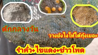 ดัดกุ้งฝอย ดักกุ้งกลางวัน วางตรงใหนถึงได้เยอะ พร้อมสูตรเหยื่อ