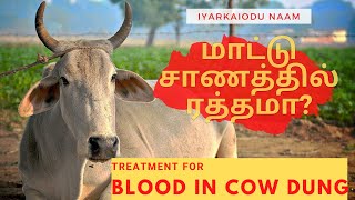 மாட்டு சாணத்தில் ரத்தமா? IyarkaioduNaam   Blood in Motion for Cows