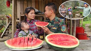 Harvest chives to sell,The conflict between my husband & me stems from his mom.My husband apologized