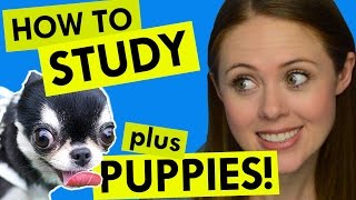 How to Study! Prepping for Finals Part 2
