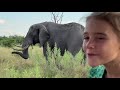 on safari with nala episode 19 elephant dung uses