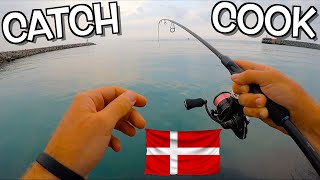 I Caught and Cooked a MONSTER Mackerel from a Danish dock! Epic Fight with Light Setup and Metal Jig