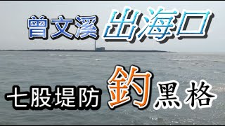 HP黑白釣20200309台南曾文溪出海口七股堤防釣黑鯛