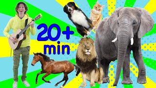 Study English Online for Kids | Animal Songs for Learning | Learn with Matt