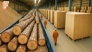 How Millions Of MDF Boards Are Made From Recycled Wood Fibers In Massive Processing Line