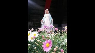 Marija Pavlovic a Varese Incontra Medjugorje 2015