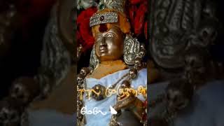 Lord Muruga / Lord Murugan / Lord Sivan / Murugan #sivan #murugansongs #murugan #shorts #short