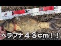 ミミズだけ持って近所の水路で浮き釣りしたら黄金の鯉と４０ＵＰのヘラブナが釣れた！浮きが沈む瞬間は必見！コイがロッドぶち曲げ河北潟水系の浮き釣り最高！