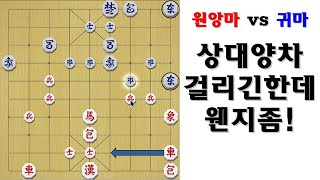 [타이슨장기 2637회] 이장기 상대차 하나잡고 망하겠죠?