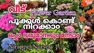 10 രൂപ മുതൽ അലങ്കാര ചെടികൾ  | ഫല വൃക്ഷ തൈകൾ | Nirappel nursery | Njaanoru Malayali