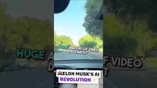 Elon Musk Reveals AI Powered Tesla FSD: A Self Driving Game Changer!
