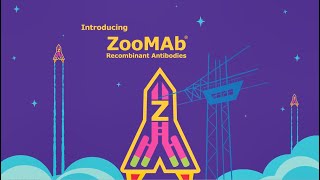 ZooMAb® Recombinant Monoclonal Antibodies