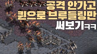 공격 안가고 퀸 브루들링으로 상대 유닛만 계속 줄여봤습니다ㅋㅋ