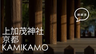 [4K] Kyoto Vlog 2024 京都上賀茂神社 /  SONY A7CII + ZHIYUN M3