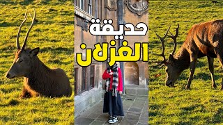 فلوق نوتنجهام 🏴󠁧󠁢󠁥󠁮󠁧󠁿 (حديقة الغزلان 🦌)