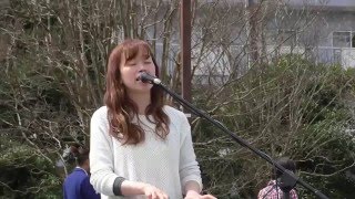 kaho*「colorful day、さくら、のんびりいこうよ、風に吹かれて」2016/4/9@東戸塚品濃中央公園