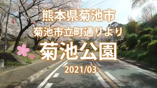 【故郷魅力発見・桜の名所編　Kikuchi Park Area】豊かな自然と歴史を誇る熊本県菊池市の立町通りより約3000本の桜が咲き誇る菊池公園、菊池神社の東参道、表参道までの道のりを撮影。