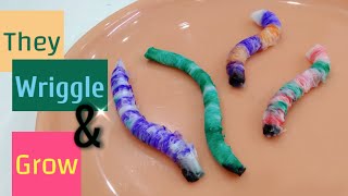 Tissue paper worms. Growing wriggly worms. Science experiment for kids. Step-by-step tutorial.