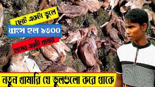 ছোট একটা ভুলে ধ্বংস হলো ১৩০০ হাঁসের একটি খামার l krishi kotha,কৃষি কথা l