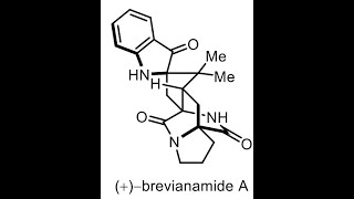 Total Synthesis of the Insecticidal Metabolite Brevianamide A Synthesis with Dr. Blane Zavesky