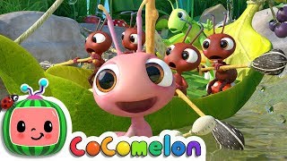 Row, Row, Row Your Boat (Ant Version) | CoComelon Nursery Rhymes & Kids Songs