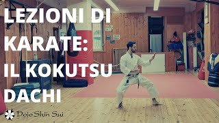 Lezioni di Karate: il kokutsu dachi e lo shuto uke