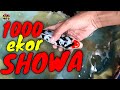 Jenis Ikan Koi Showa Harga Mulai 50K || Showa Sasonku Kindai Showa Hi Showa #dutakoiblitar